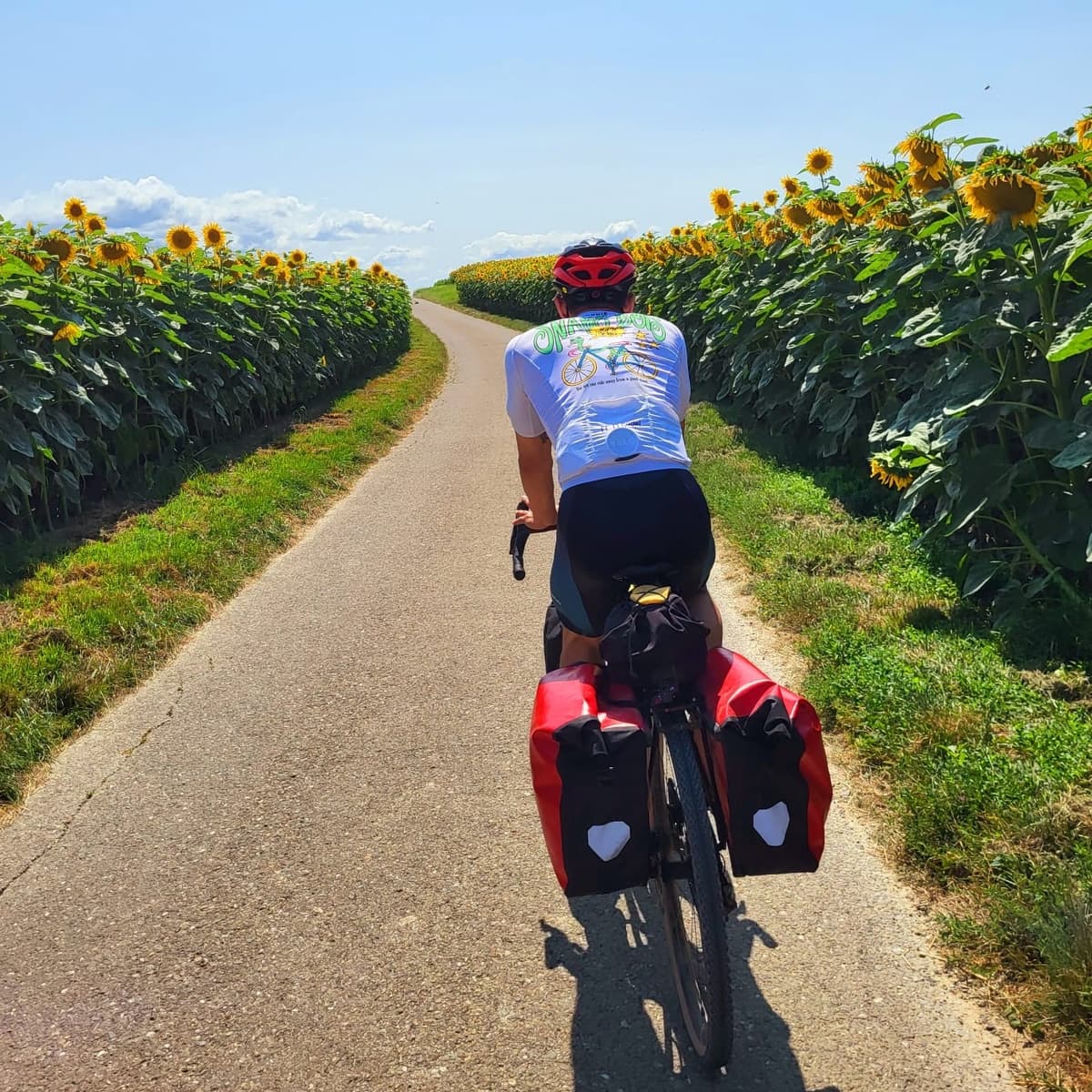 Snake Bois Impression 16